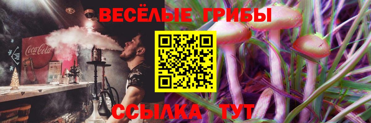 купить наркотик  Вход с VPN  Прохладный  Псилоцибиновые грибы Psilocybe  Псилоцибиновые грибы Magic Shrooms 